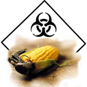 Monsanto – Planting the seeds of death in India